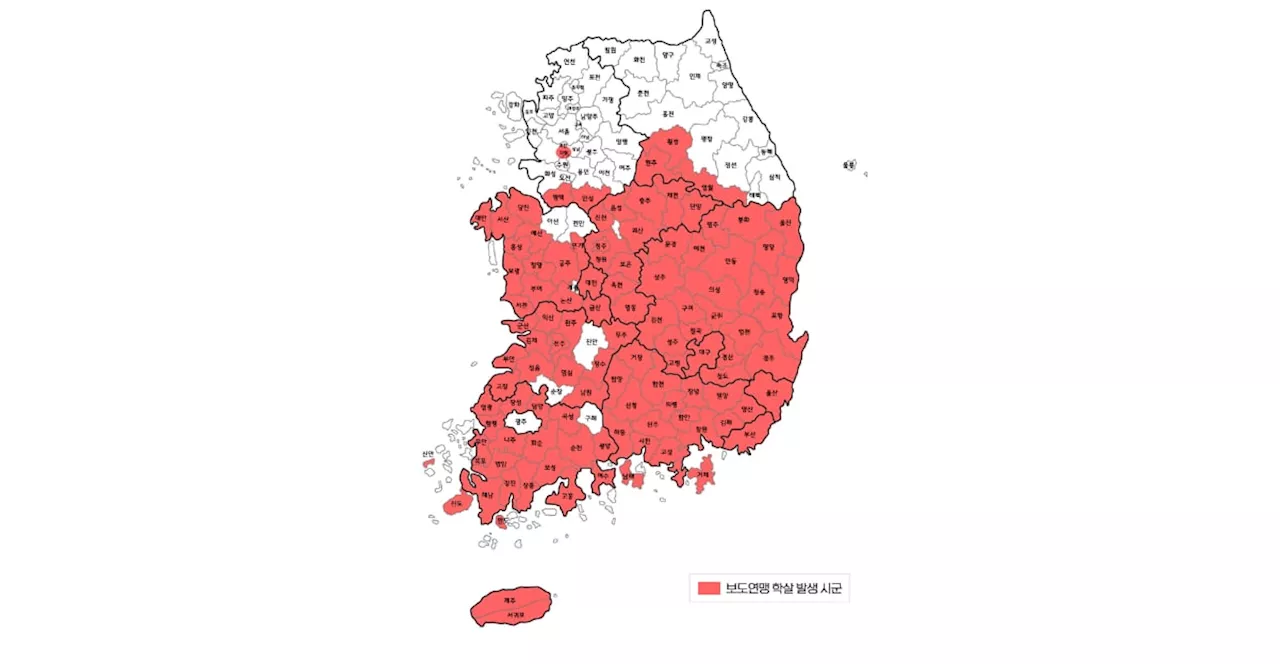 서울 빼고 거의 다 죽였다...이게 '인종청소'랑 뭐가 다른가