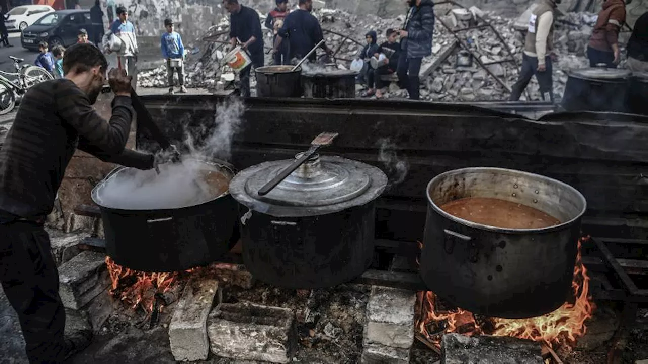 الجوع يفتك بغزة وأطفالها.. والحطب ملاذ النازحين لطهي الطعام