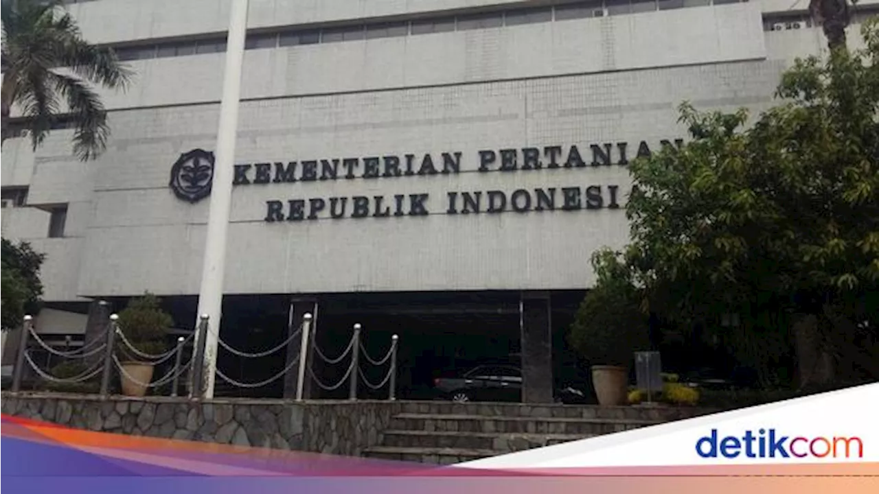 Kementan Gelar Seleksi Terbuka Pejabat Tinggi, Cek di Sini Infonya