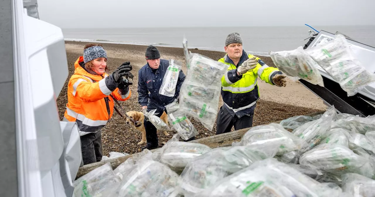 Frivillige kastede sig over oprydning på strandene