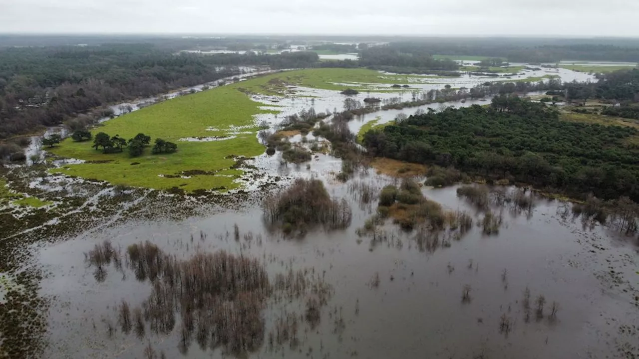 Overijsselse Vecht treedt buiten oevers door regen