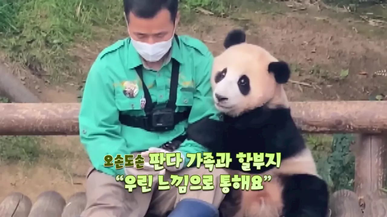 판다 가족과 할부지 '우린 느낌으로 통해요'