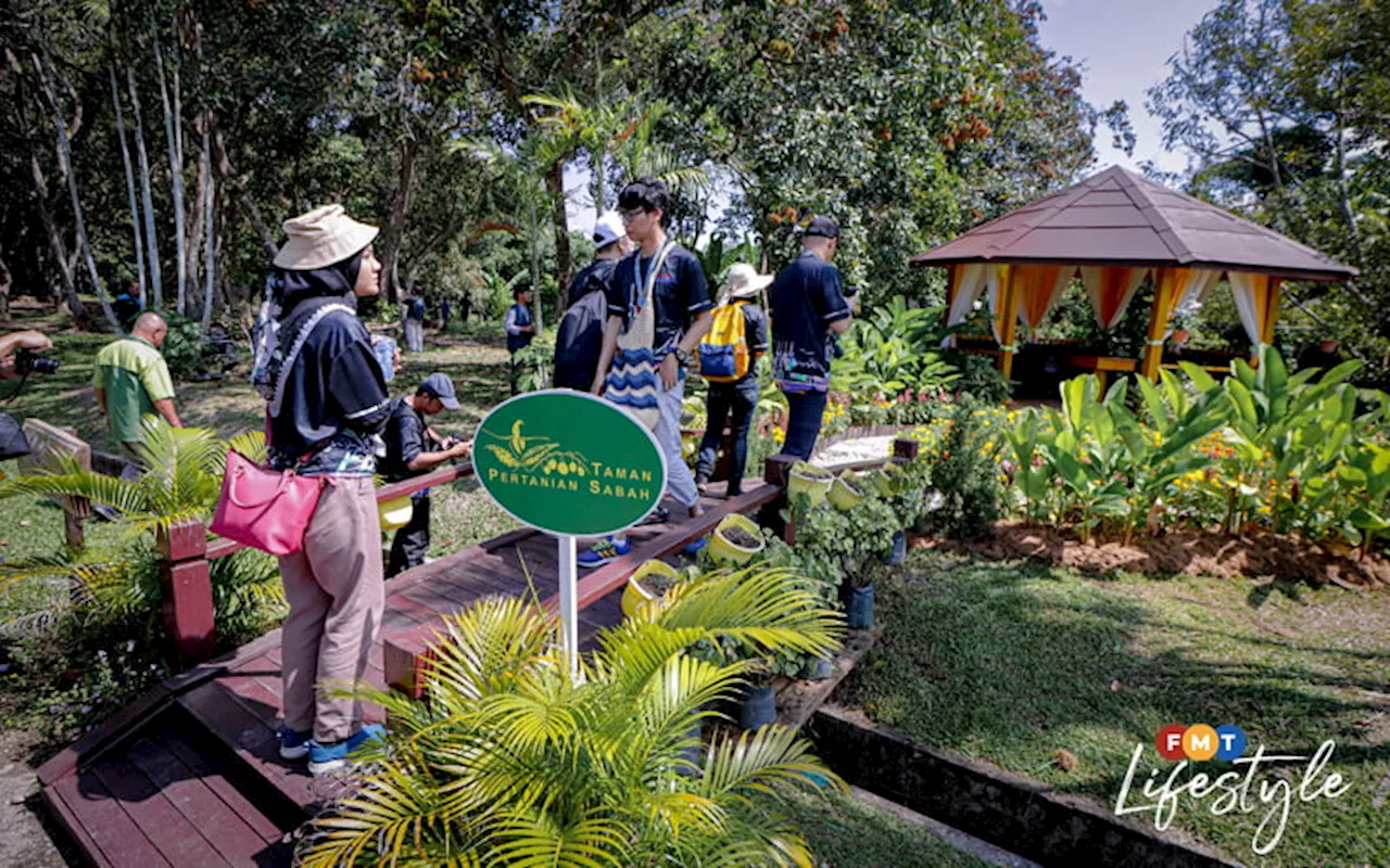 Exploring the Natural Beauty of Sabah