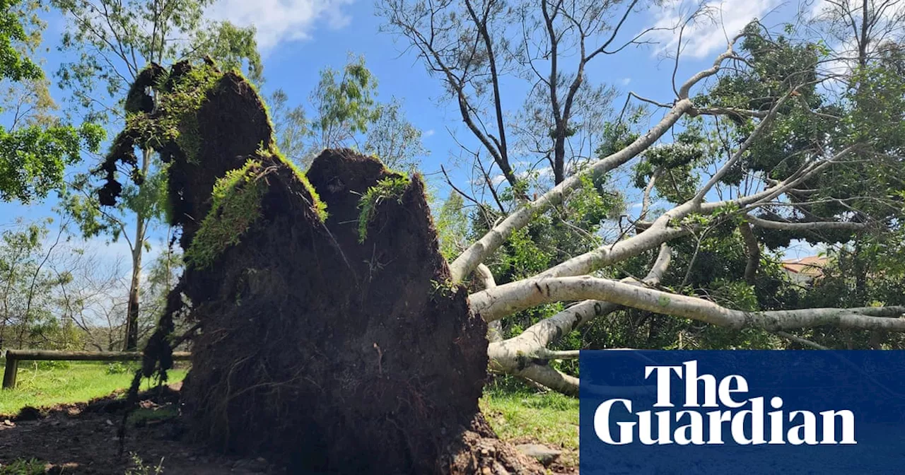 Seven Dead and Two Missing After Christmas Night Storms in Queensland