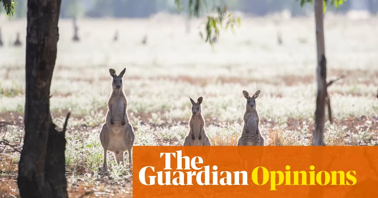 Dedicated Researcher Immerses Herself in the Study of Marsupial Poo