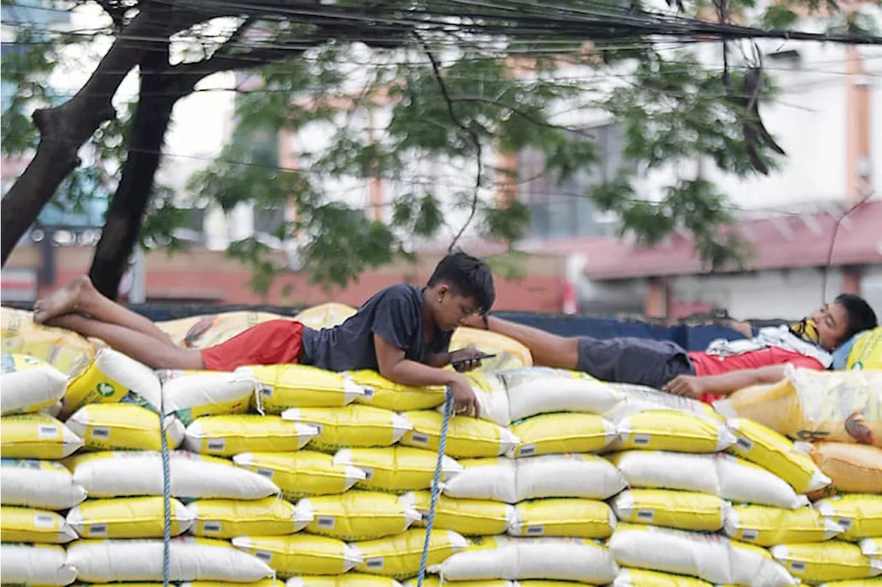 Sufficient rice supply until next harvest season, says DA