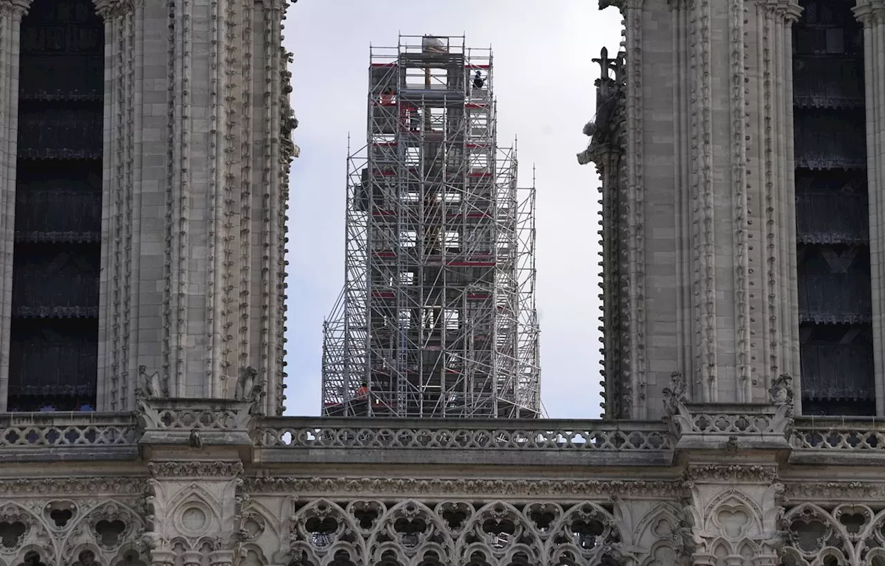 Une sénatrice demande l'arrêt du chantier de reconstruction de Notre-Dame à cause du plomb