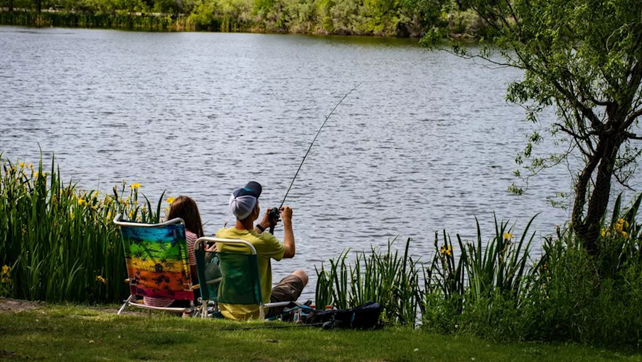 La pêche urbaine séduit les jeunes à Toulouse