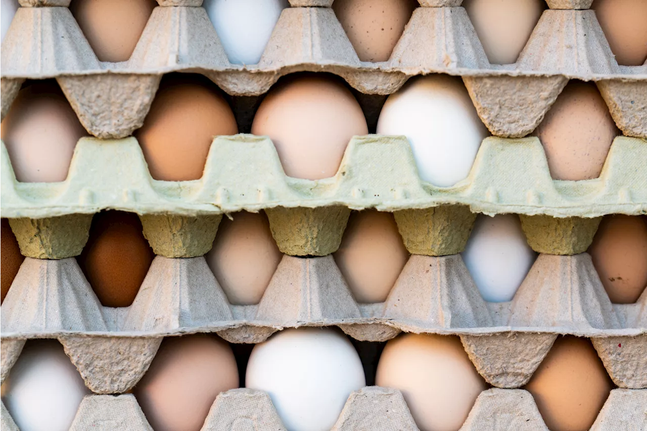 Food Manufacturers Ordered to Pay $53 Million in Damages for Egg Supply Conspiracy