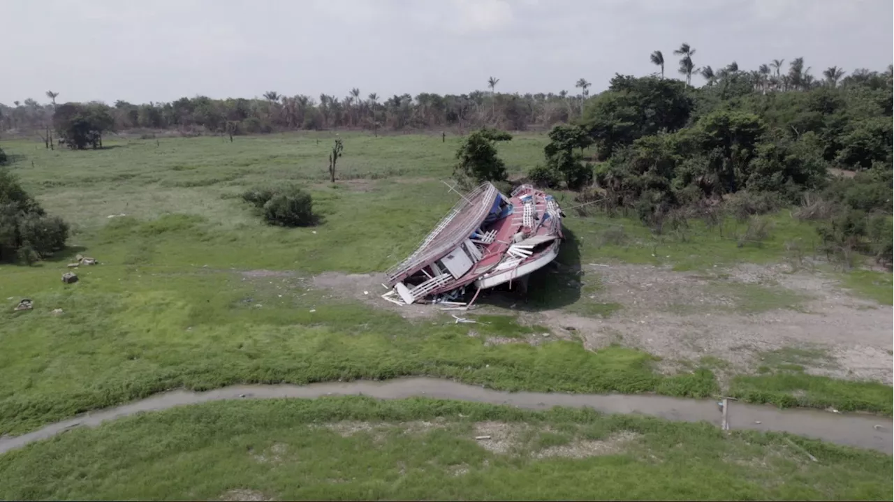 De la COP28 à Dubaï à l’Amazonie : une sécheresse historique bouleverse l’écosystème local