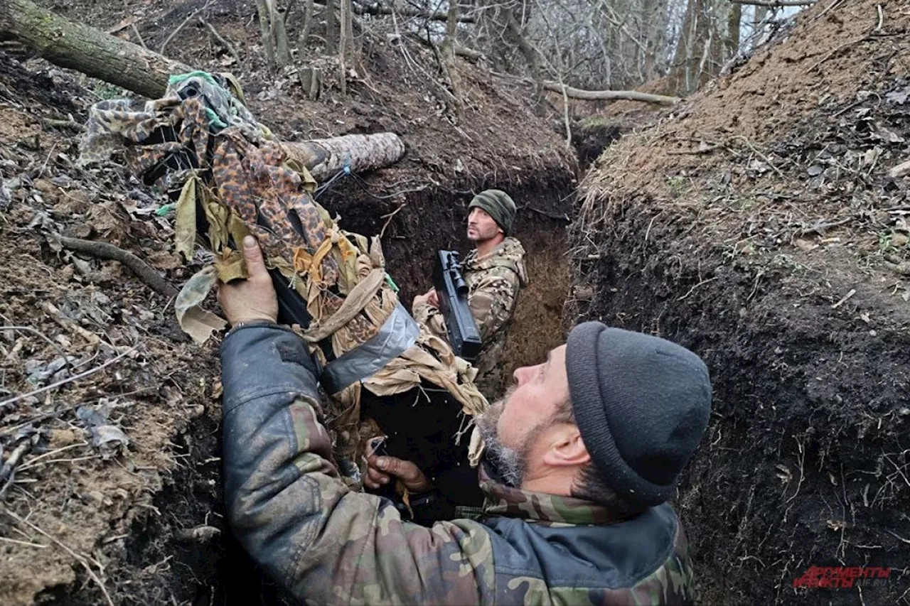 Здесь «птицы» не поют.