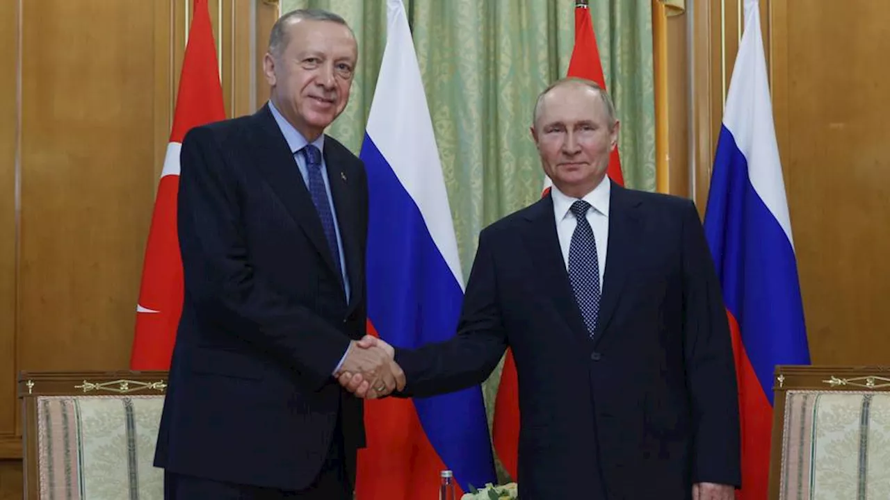 في رسالة إلى أردوغان.. بوتين يؤكد مواصلة التعاون مع تركيا في 2024