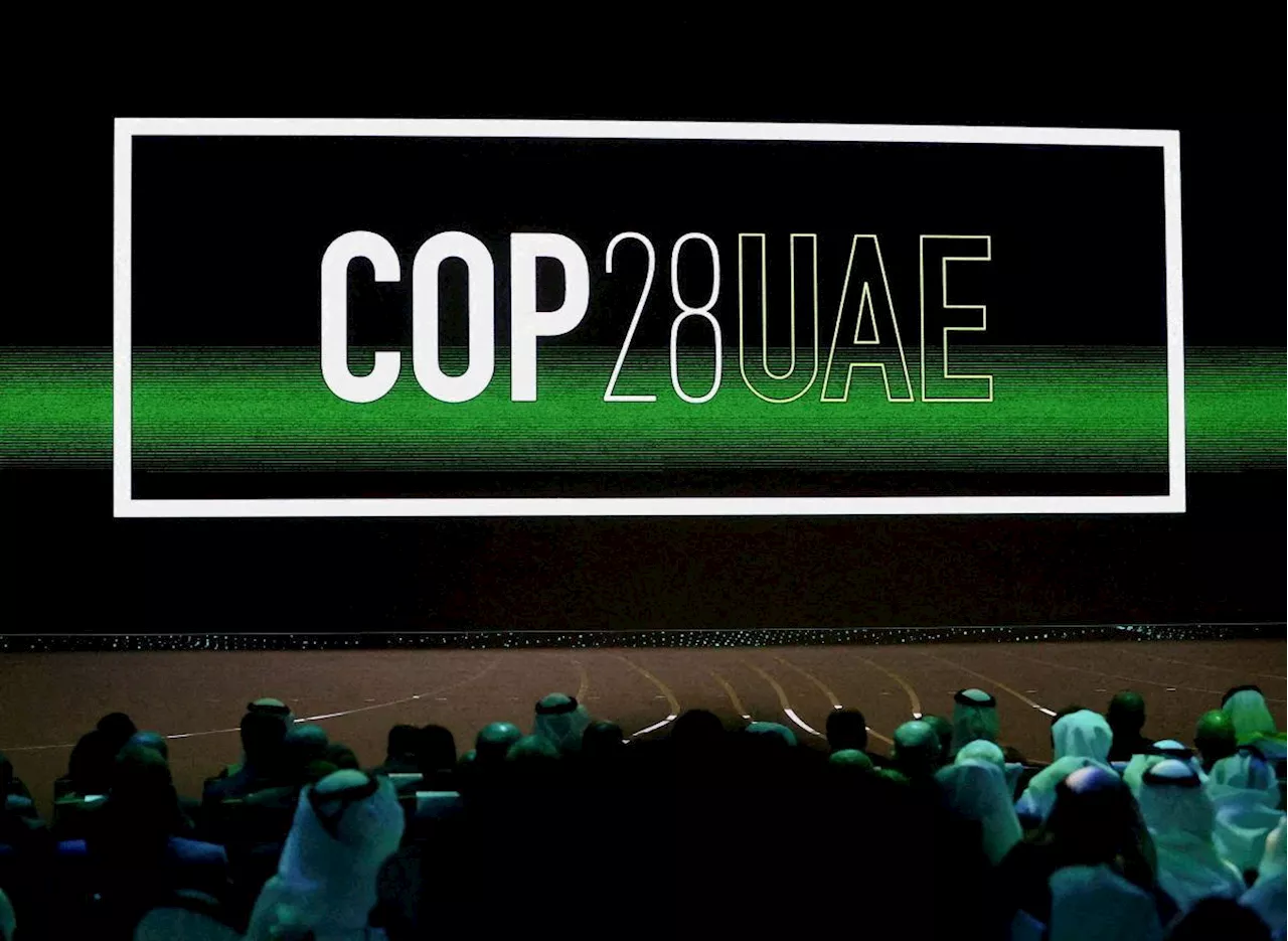 Money Pledges Stack Up at COP28 in Dubai