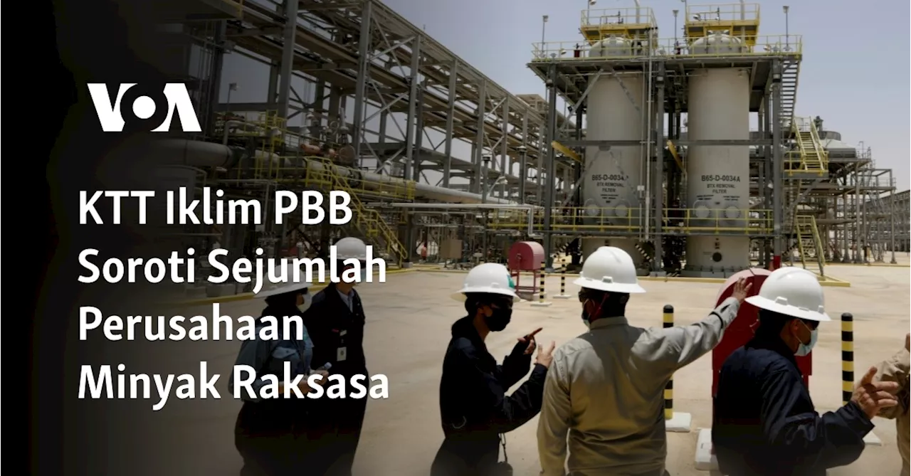 Perusahaan Energi Negara Juga Mendominasi Industri Bahan Bakar Fosil