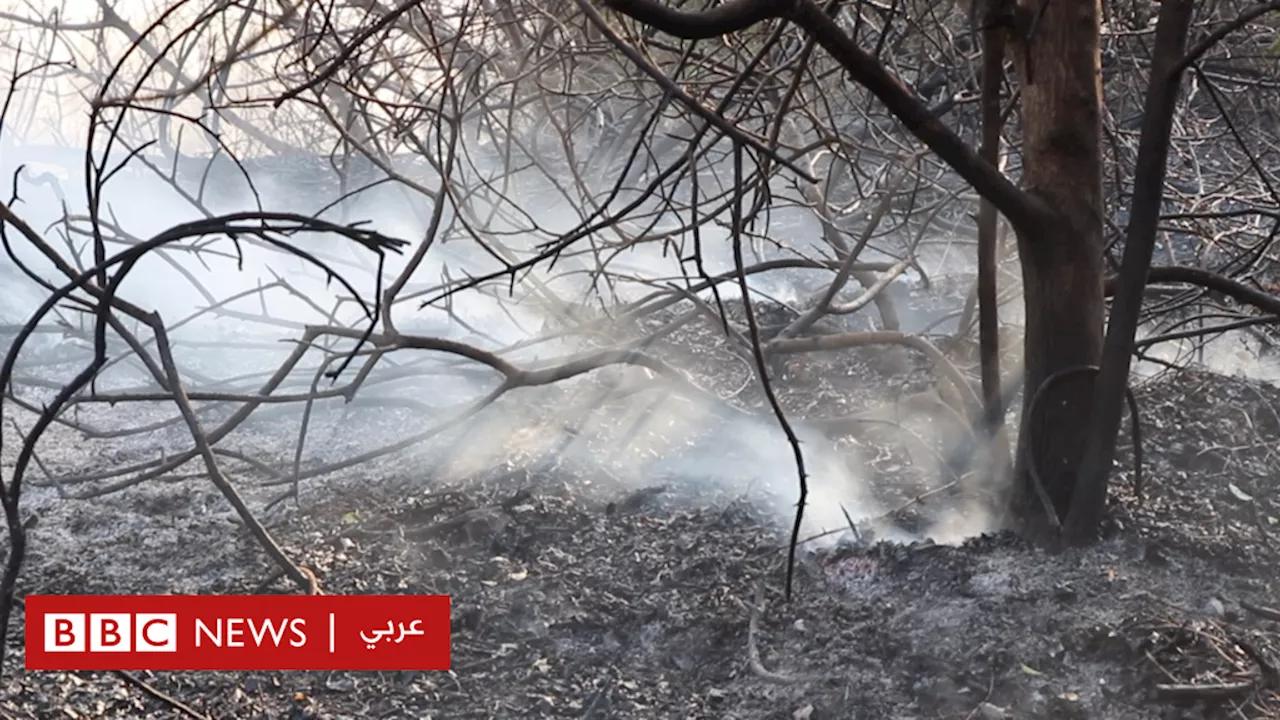 لبنان يحمل قضية 'الإبادة البيئية' الى مؤتمر الأطراف في دبي