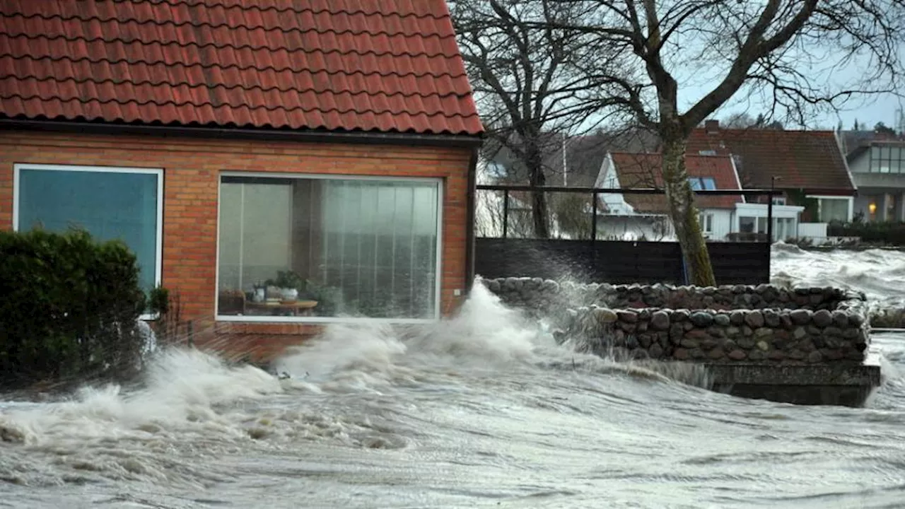 Vismænd forkaster stormflodsordningen: Udsatte boligejere må sejle deres egen sø