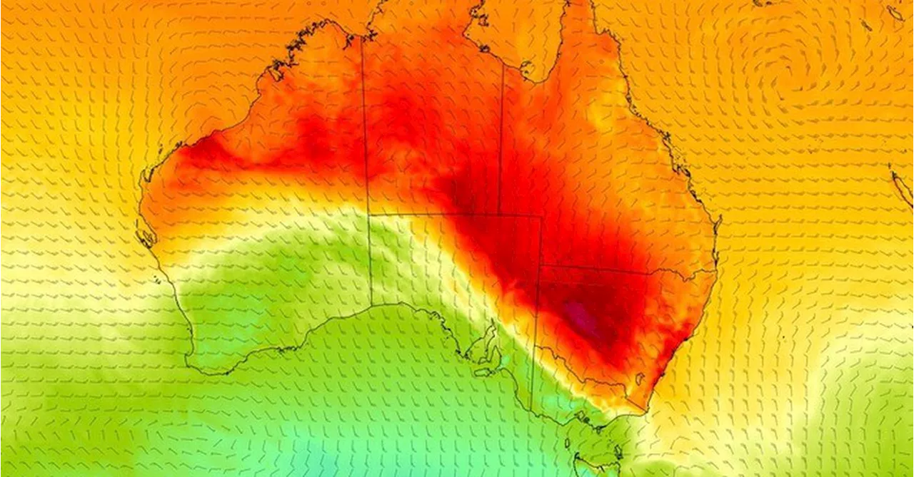 Severe Heatwave Hits New South Wales