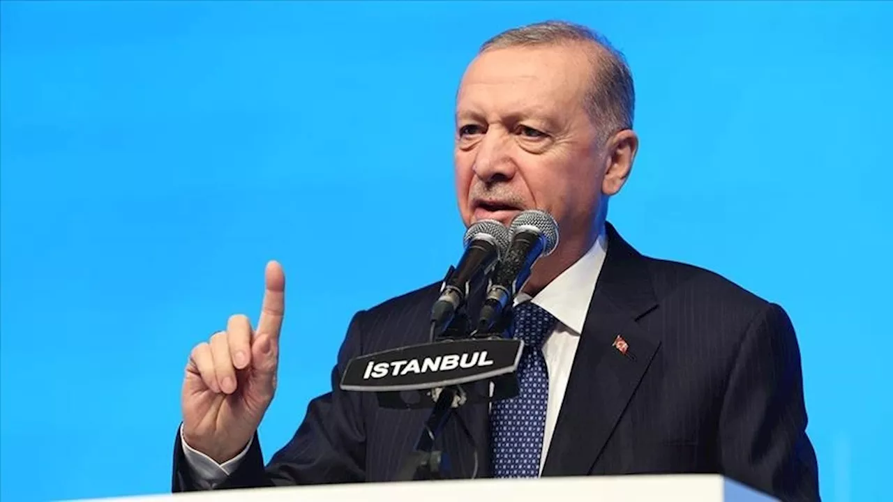 أردوغان: غزة تشهد اليوم انتهاكا صارخا لـ'الإعلان العالمي لحقوق الإنسان'