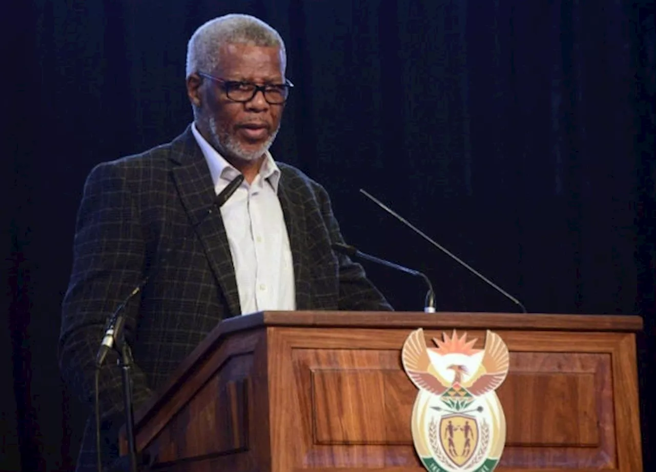 ANC Veteran Mavuso Msimang Quits Party Due to 'Endemic Corruption'