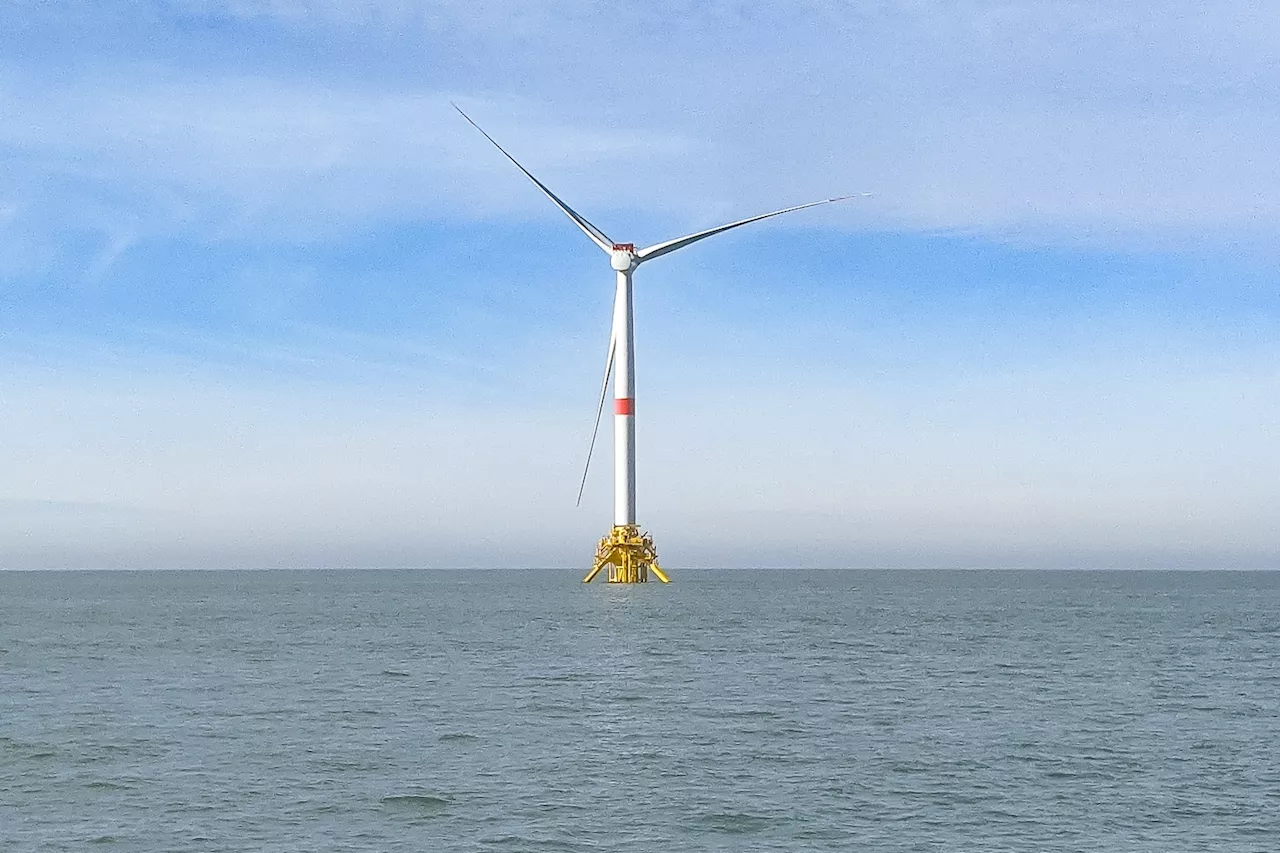 Derrière les éoliennes flottantes au large de Fos, les multiples enjeux de la filière offshore