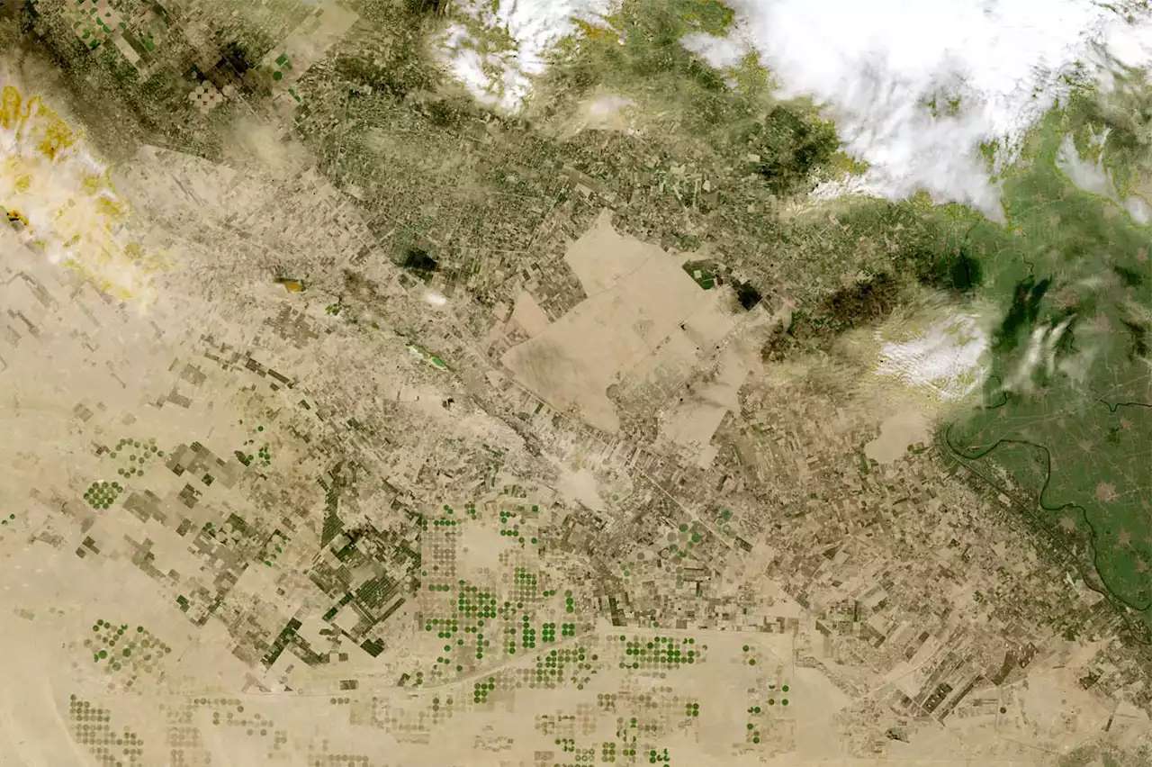 Intelligence artificielle : IBM et la Nasa imaginent un « ChatGPT du climat »