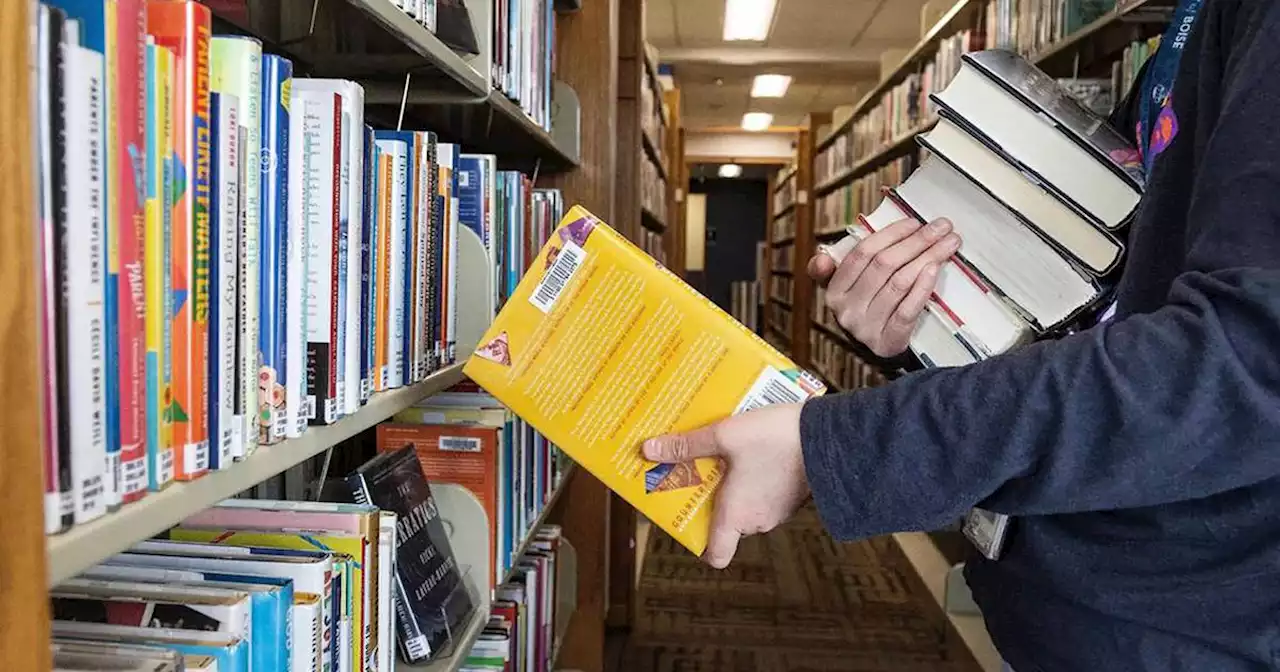 School librarians vilified as the ‘arm of Satan’ in book-banning wars