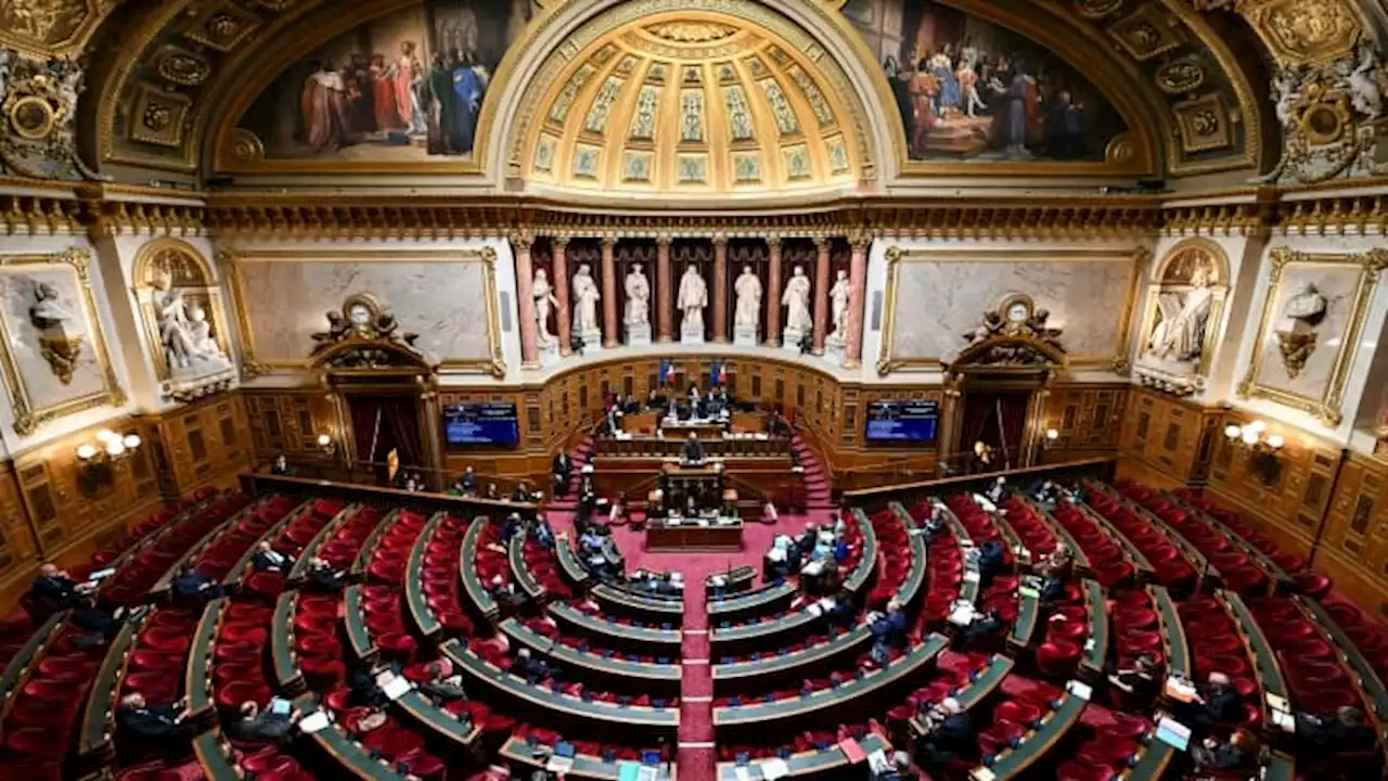 Avortement: le Sénat favorable à l'inscription dans la Constitution de la 'liberté' de recourir à l'IVG