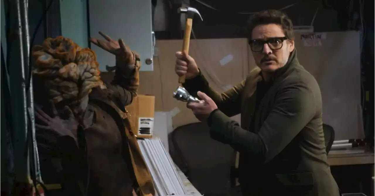 Saturday Night Live Sketch: Pedro Pascal Suffers 'Joel on the Brain'