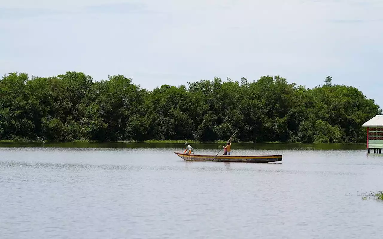 MinAmbiente anuncia inversión de $8 millones de dólares en la Ciénaga Grande