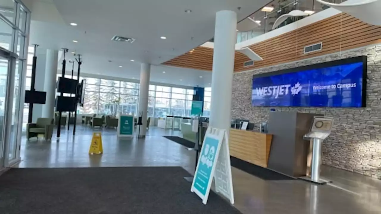 Traveller 'furious' after learning WestJet donates unclaimed baggage to charities after 90 days | CBC News