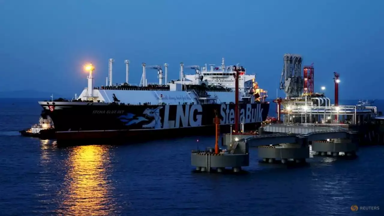 Easing prices revive LNG interest from Asia's emerging gas markets