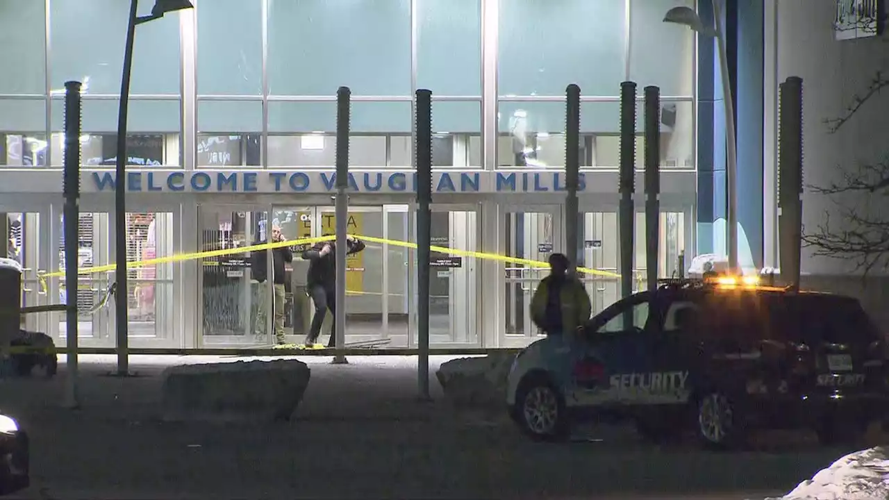 Suspect drives into Vaughan Mills mall before robbing store: police