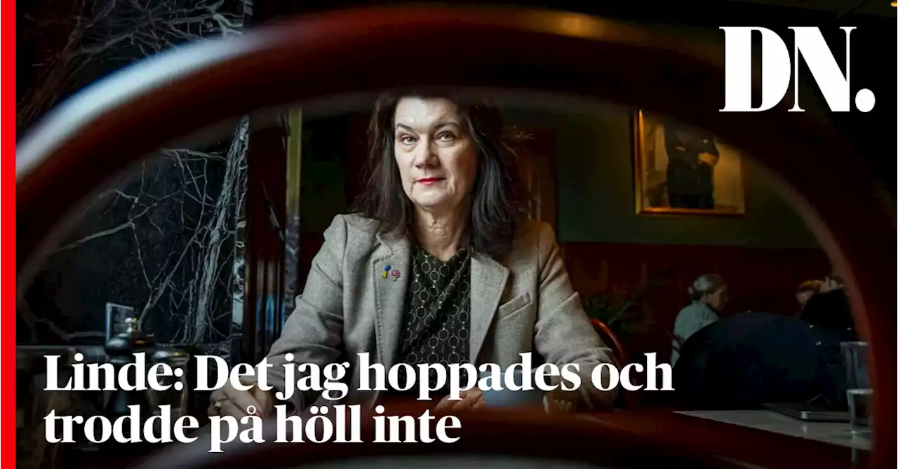 Ann Linde: Det jag hoppades och trodde på höll inte