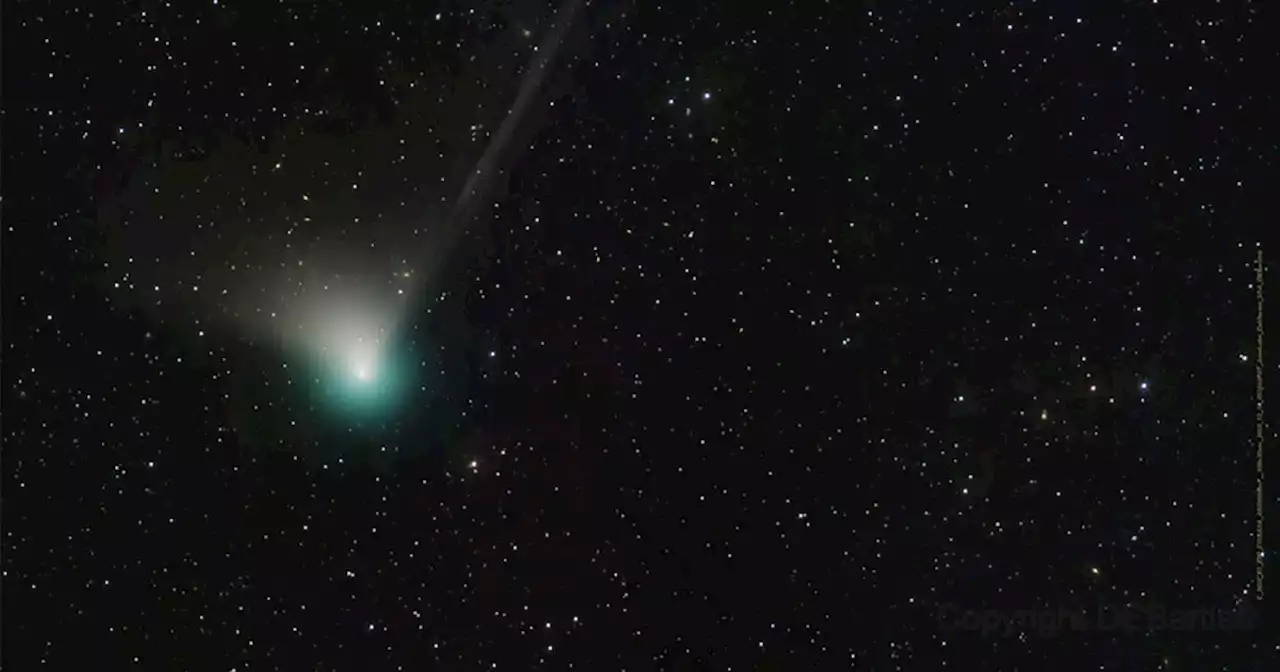 How to see green comet in Scotland tonight for the first time in 50,000 years