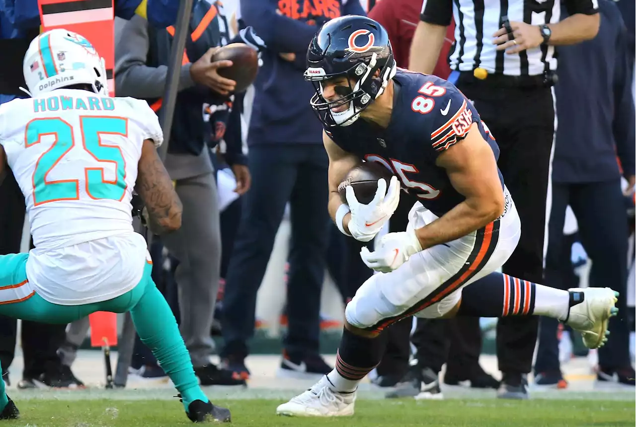 2022 Bears report card: Tight end: Kmet started slow but finished hot