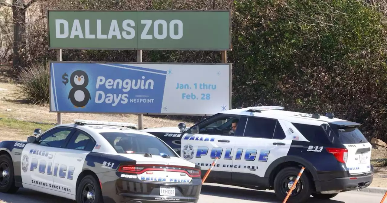 2 monkeys taken from Dallas Zoo found alive in Lancaster, officials say