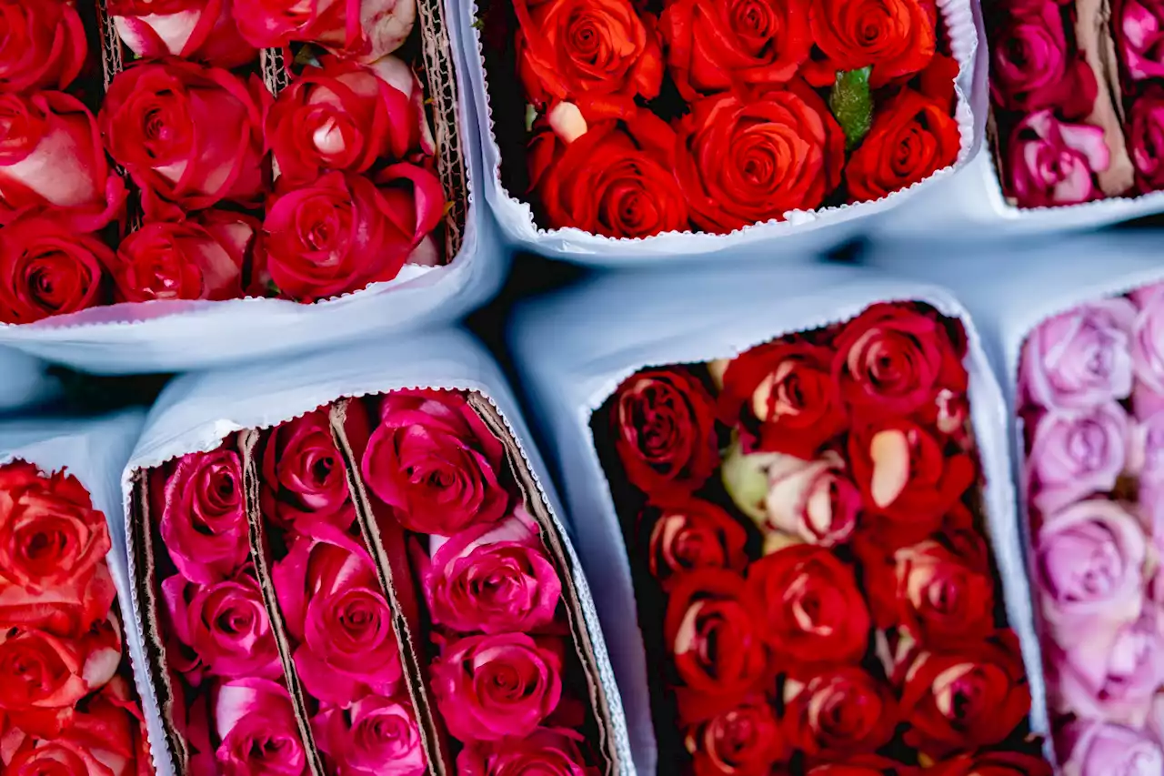 Buy Yourself Flowers: How To Celebrate Valentine’s Day No Matter Your Relationship Status