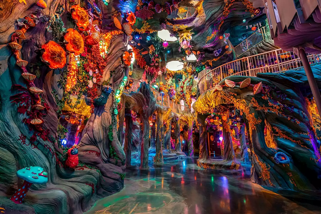 Meow Wolf's 21+ Night: Here Are Five Top Spots to Experience