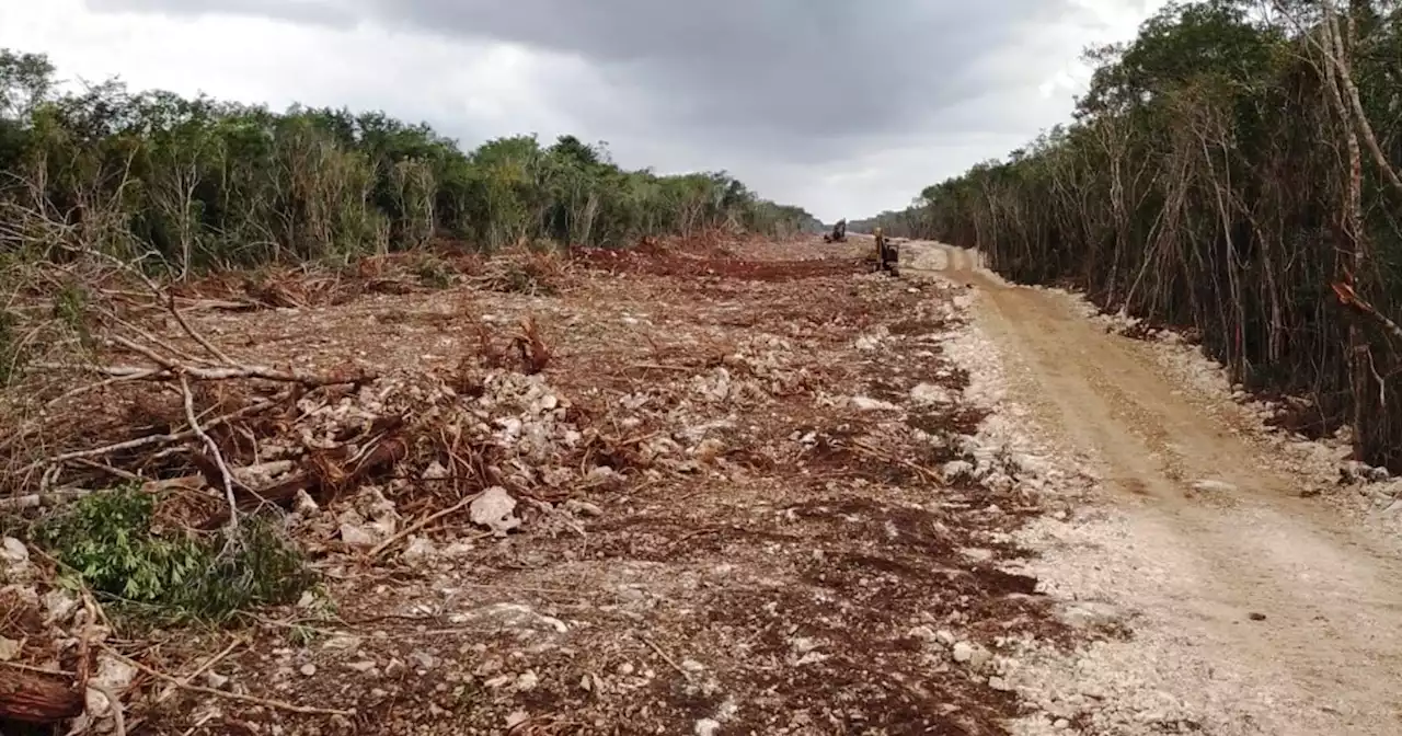 Ambientalistas denuncian continuación de obras del Tren Maya pese a suspensión