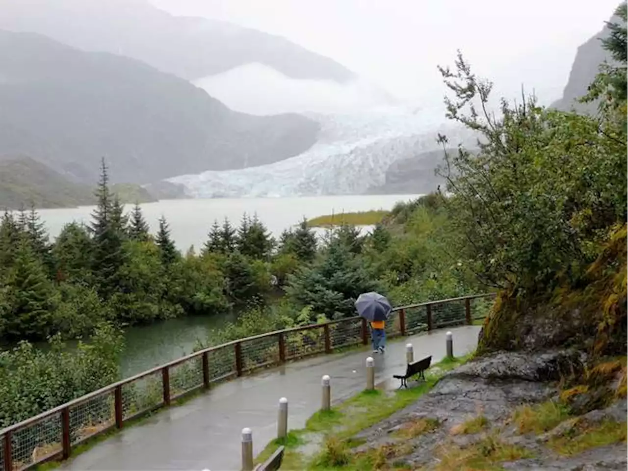 Estados Unidos restablece la protección de su bosque nacional más grande