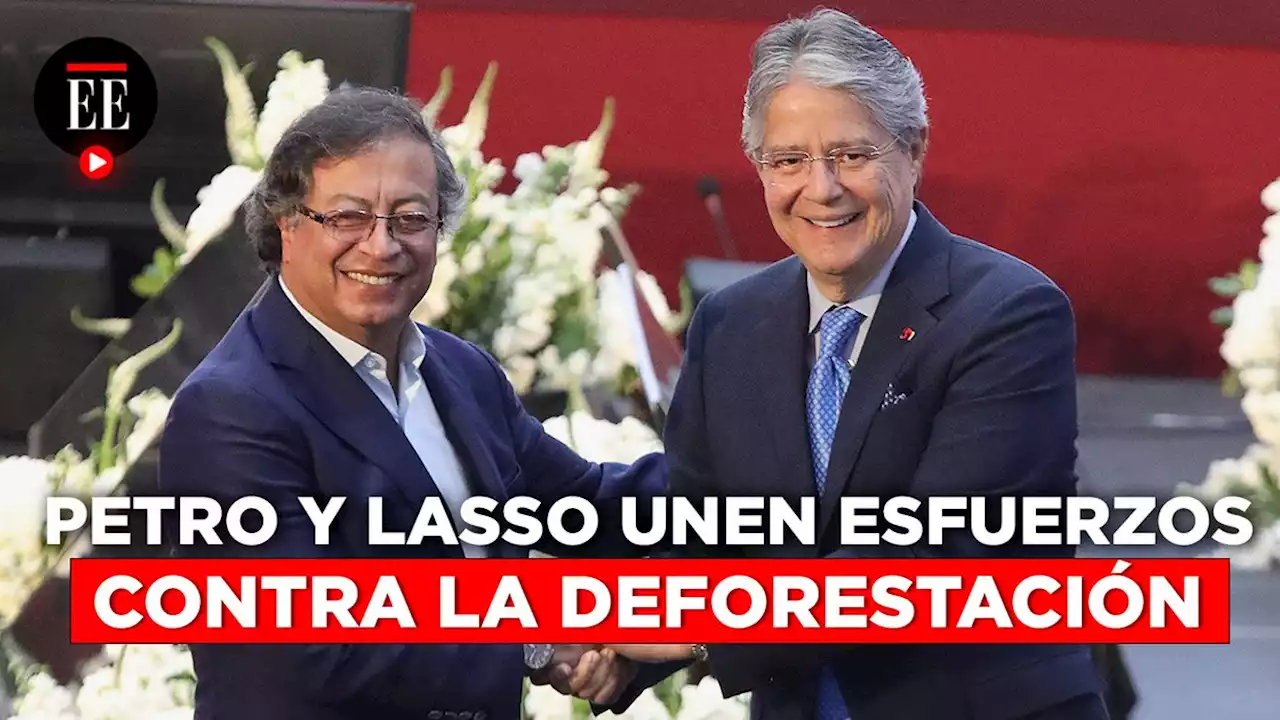 Colombia y Ecuador firmaron acuerdos para luchar contra la deforestación