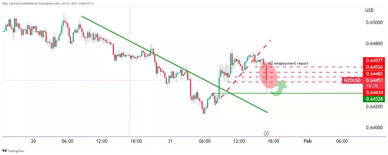 New Zealand labor report sinks NZD