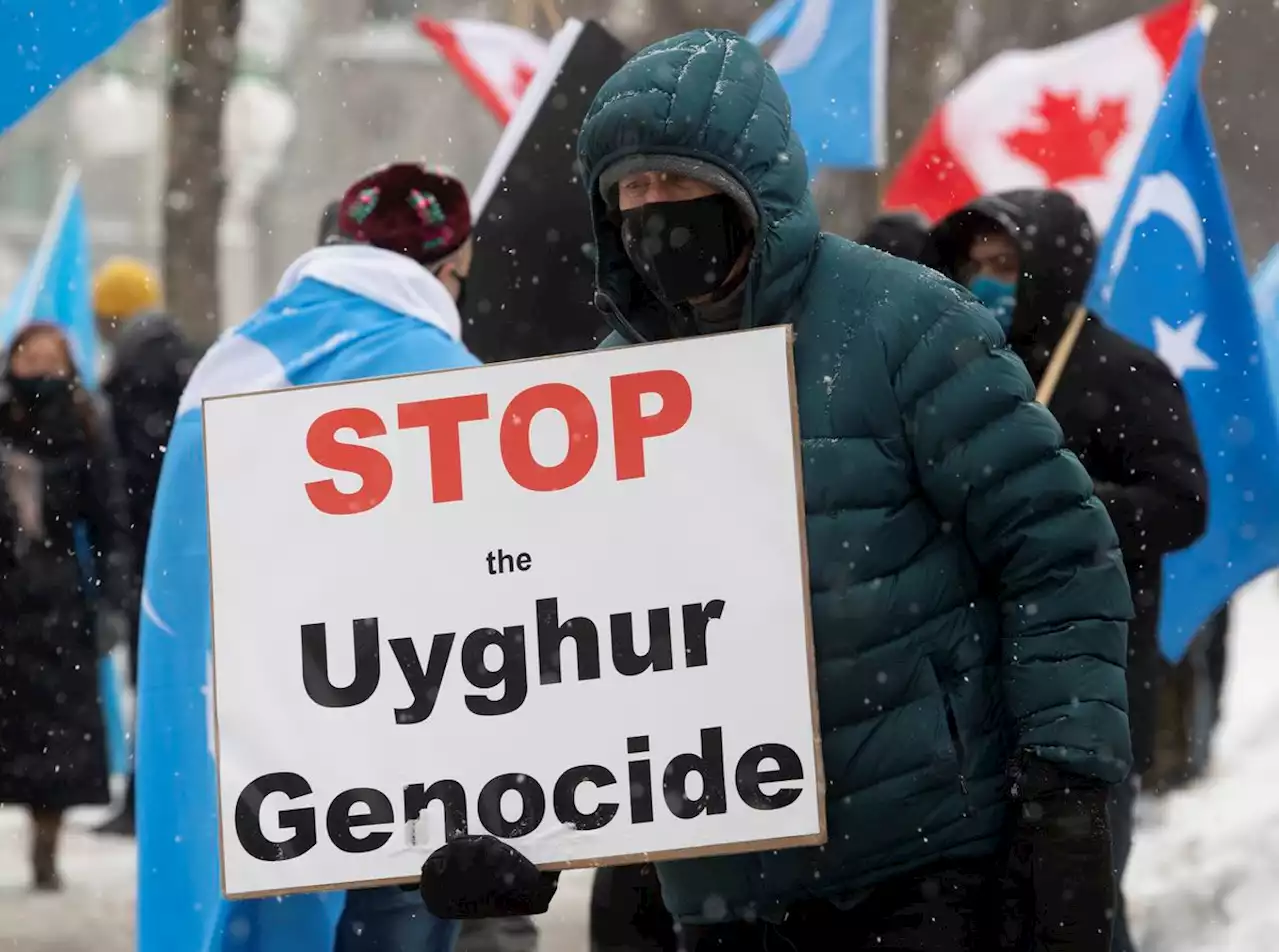 Opinion: We can throw escaped Uyghurs a lifeline by bringing more to Canada