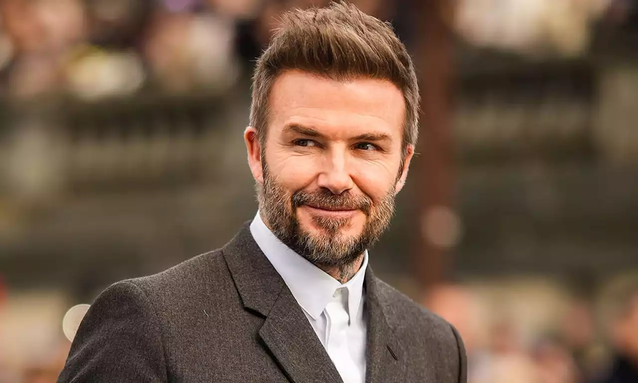 Harper Beckham takes after dad David in rare selfie – see photo