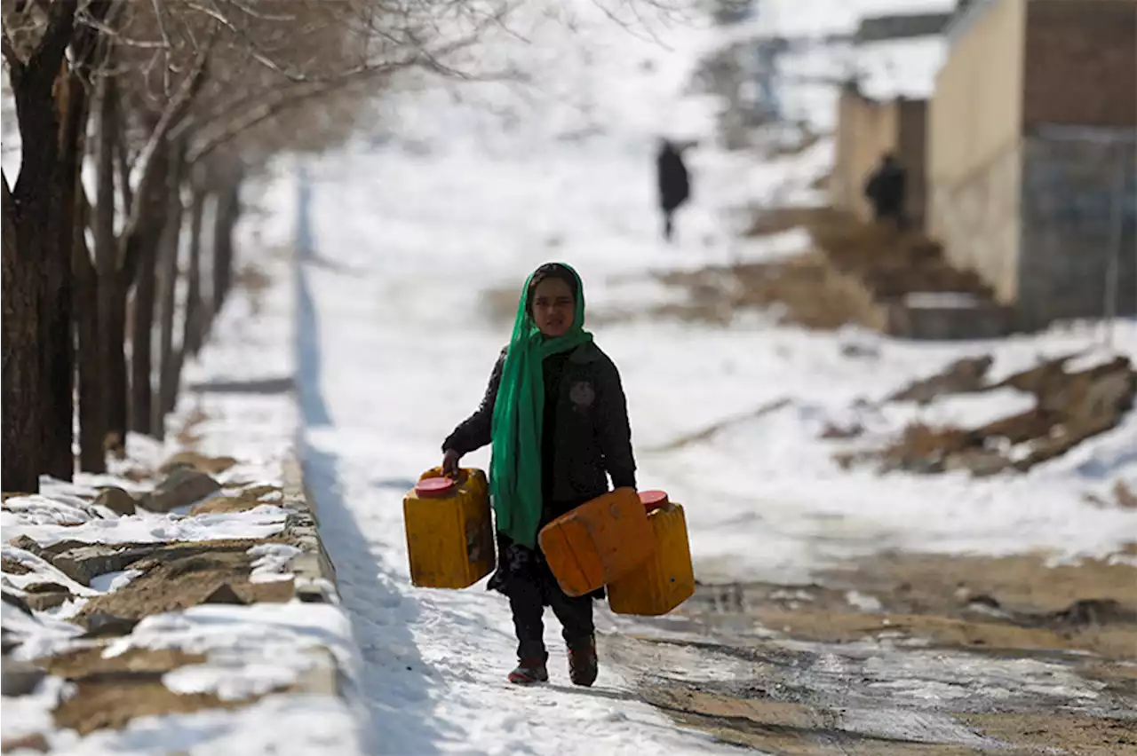 More than 160 Afghans die in bitterly cold weather