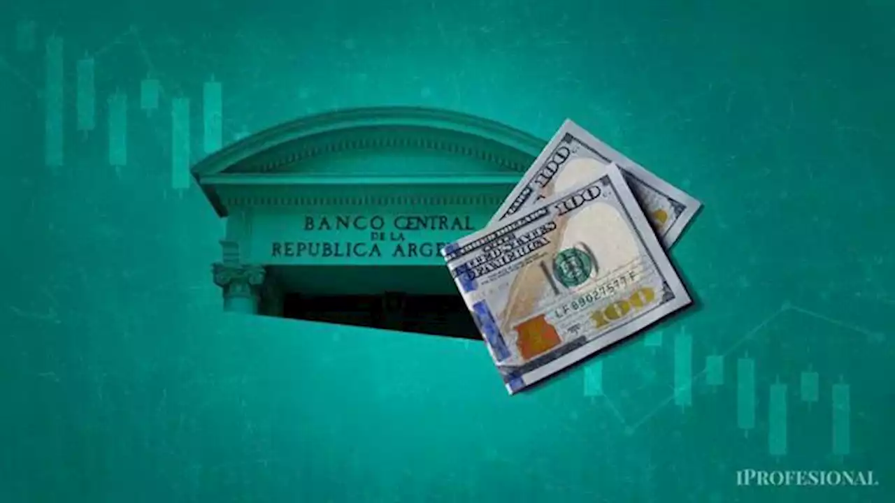 DÓLAR: ¿el BCRA podrá contener el precio en febrero?