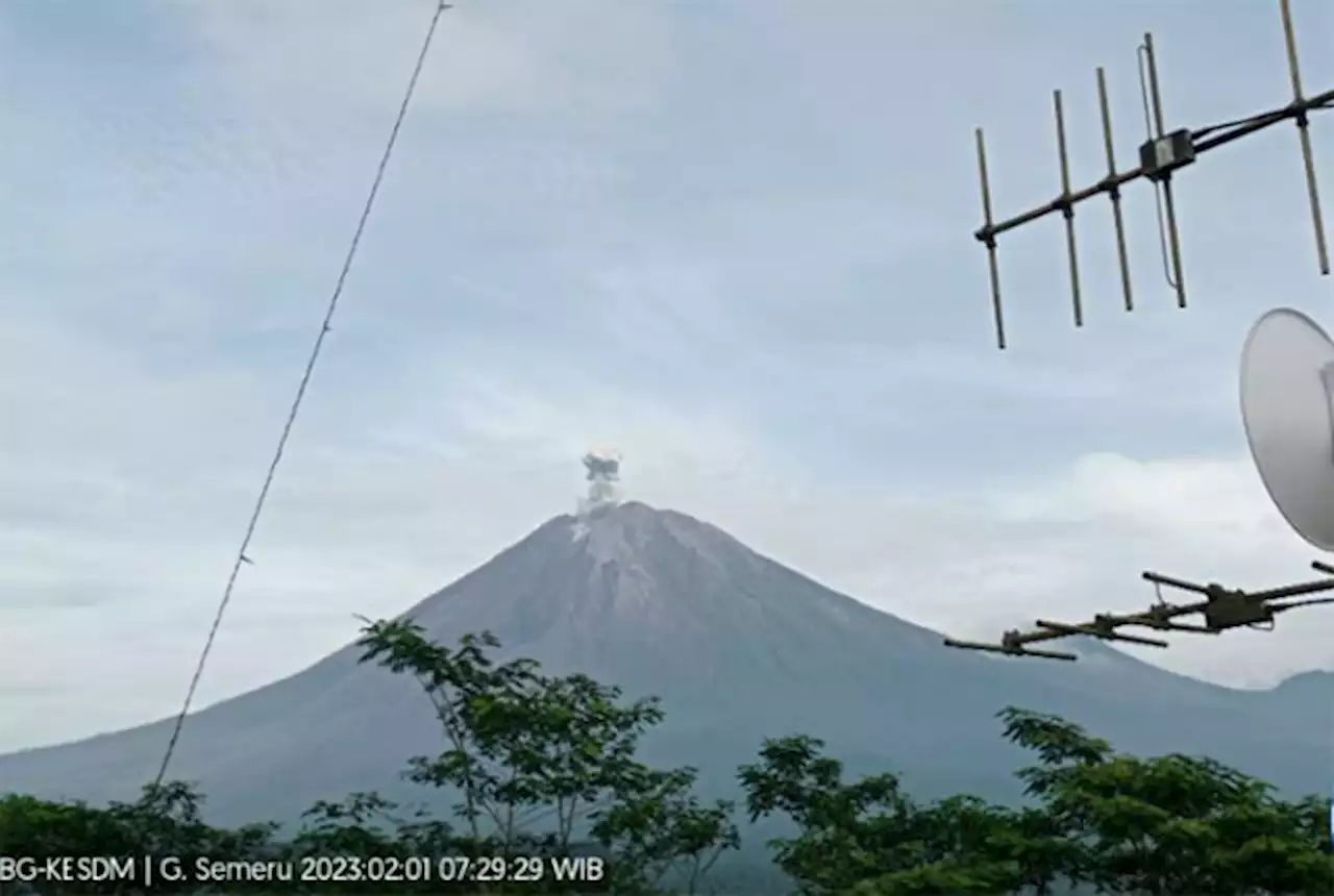 Gunung Semeru Kembali Erupsi, Ketinggian Letusan 700 Meter