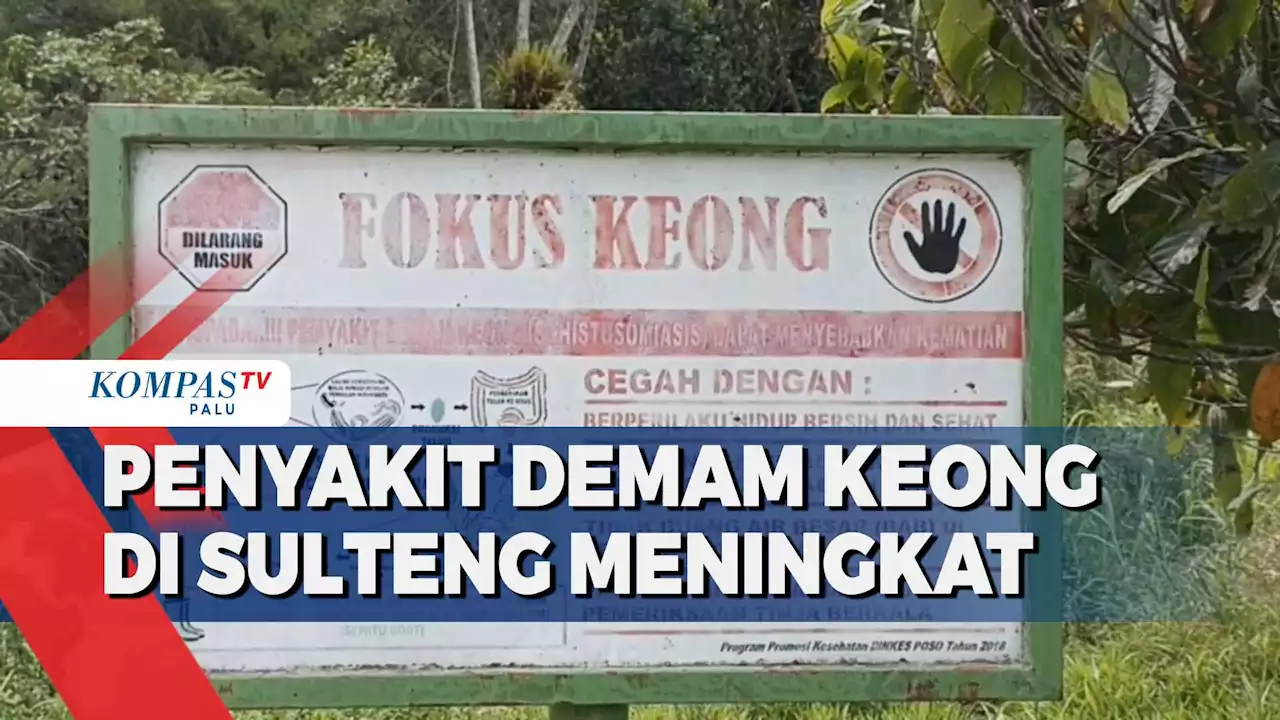 Penyakit Demam Keong di Sulteng Meningkat