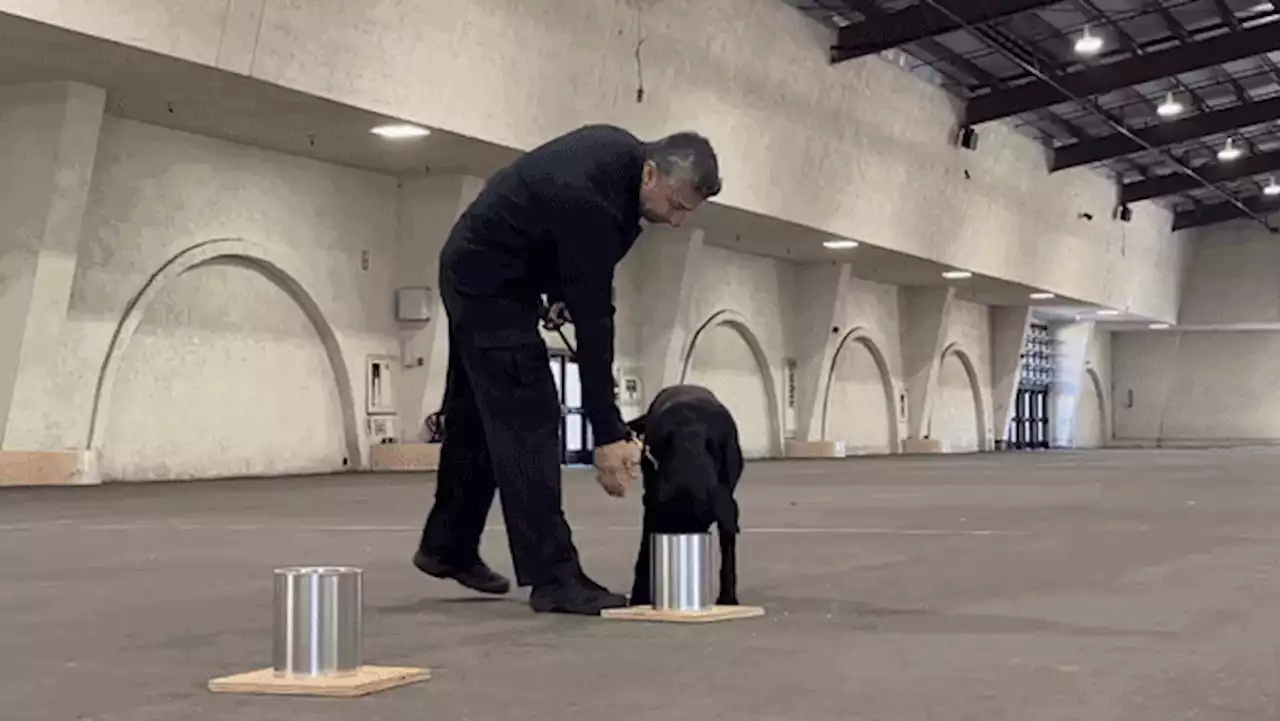 ATF holds canine certification event at Del Mar fairgrounds