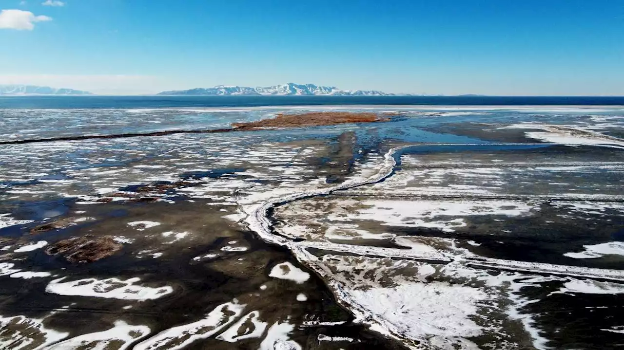 $40M Great Salt Lake trust beginning work with newly formed council